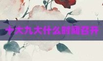十大九大什么时间召开