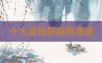 十大最强野猫有哪些