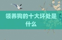 领养狗的十大坏处是什么
