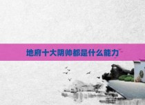 地府十大阴帅都是什么能力