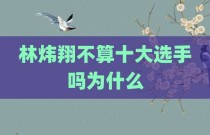 林炜翔不算十大选手吗为什么