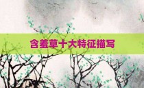 含羞草十大特征描写