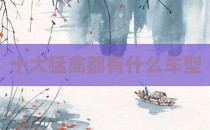 十大猛禽都有什么车型