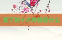 奥丁的十大神器是什么