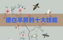 撩白羊男的十大技能