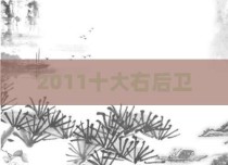 2011十大右后卫