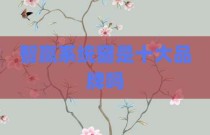 智赢系统窗是十大品牌吗