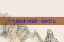 十大最旺家的猫第一名叫什么