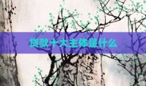 贷款十大主体是什么