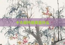 十大标杆场景是什么