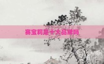 赛宝莉是十大品牌吗