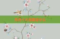 乔丹十大场面是什么