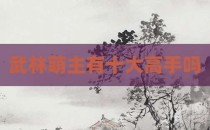 武林萌主有十大高手吗