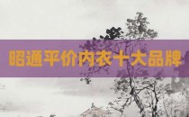 昭通平价内衣十大品牌