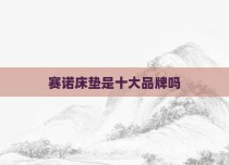 赛诺床垫是十大品牌吗