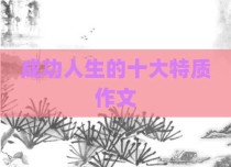 成功人生的十大特质作文