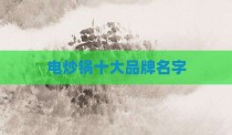 电炒锅十大品牌名字