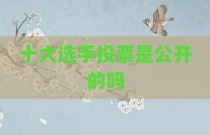 十大选手投票是公开的吗