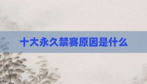 十大永久禁赛原因是什么