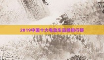 2019中国十大电动车品牌排行榜
