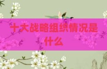 十大战略组织情况是什么