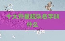 十大外星舰队名字叫什么