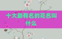 十大最有名的花名叫什么