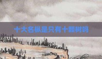 十大名枞是只有十颗树吗