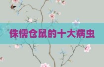 侏儒仓鼠的十大病虫
