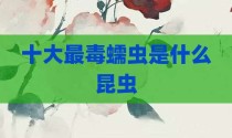 十大最毒蠕虫是什么昆虫