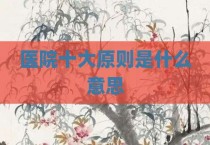 医院十大原则是什么意思