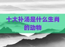 十大补汤是什么生肖的动物