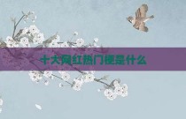 十大网红热门梗是什么