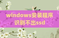 windows安装程序识别不出ssd
