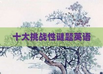 十大挑战性谜题英语