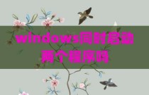 windows同时启动两个程序吗