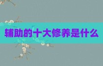 辅助的十大修养是什么