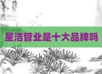 星洁管业是十大品牌吗