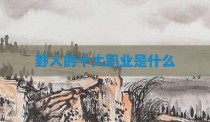野人的十大职业是什么