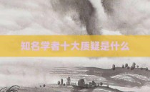 知名学者十大质疑是什么