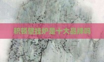 积顿壁挂炉是十大品牌吗