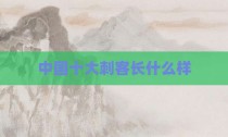 中国十大刺客长什么样