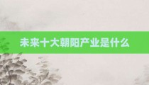 未来十大朝阳产业是什么