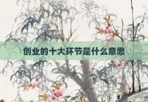 创业的十大环节是什么意思