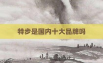 特步是国内十大品牌吗