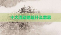 十大流动地址什么意思