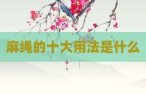 麻绳的十大用法是什么