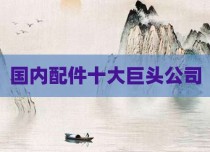 国内配件十大巨头公司