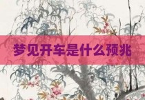 梦见开车是什么预兆