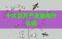 十大百万产业是指什么呢